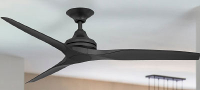 Black Ceiling Fan