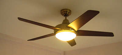 Ceiling Fans with Lights