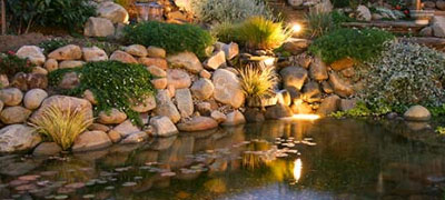 Solar Pool & Pond Lights