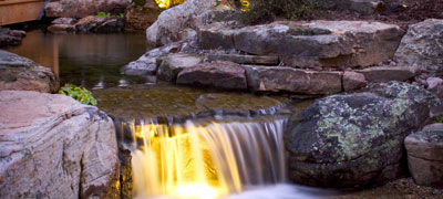 Pond Lights