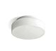 Herner 12W LED Glass Ceiling Light White / Warm White - CL2021