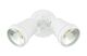 Hunter-III 22W LED Twin Spotlight White / Cool White - 19242/05