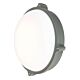 Delalite 20W LED Large Round Outdoor Bunker Light Charcoal / Warm White - 19693/51