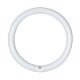 Circular T9 Fluorescent Tube 32W Daylight - CLAFCL32WDL