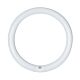 Circular T9 Fluorescent Tube 32W Cool White - CLAFCL32WCW