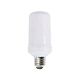 Decorative 5W E27 LED Flame Effect Globe - CHAMA001