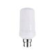 Decorative 5W B22 LED Flame Effect Globe - CHAMA002