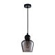 Interior Ellipse Glass Shape 1 Light Pendant Black Smoke - CHAMPAN2