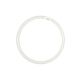 Circular T5 Fluorescent Tube 22W Cool White - CLAT522WCW