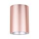 Surface Mounted 240V GU10 Downlight - Powder Pink - SURFACE19