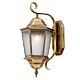 Artarmon Brass Wall Light Citilux - NU111-1987