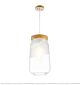 Modern Jane European Semi-Matte Glass Single Head Chandelier Large Citilux - NU145-2269