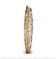 Stainless Steel Olive-Shaped Gold Floor Lamp Citilux - NU145-2331