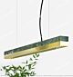 Emerald Titanium Stitching Office Chandelier/Dining Light Citilux - NU145-2353