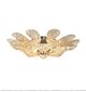 Spray Series Ceiling Lamp Large Citilux - NU145-2476