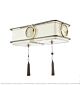 Lotus Pond Lotus Heart Series - Lotus Pond Lotus Heart Simple Ceiling Lamp Citilux - NU145-2514