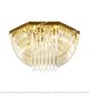 Modern Transparent Curved Glass Ceiling Lamp Citilux - NU145-2098