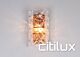 Lydia 2 Light Wall Light Rose Gold Citilux - NU136-1059