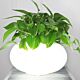 Flowerpot table lamp citilux - NU102-1438