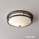 Philadelphia North American Style Traditional Dark Bronze Ceiling Light Citilux - NU142-1004