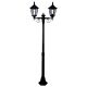 Chester Twin Head Medium Post Light Black - 15009
