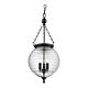 Erin 3 Light Lantern Pendant Clear - 31321