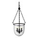 Alexa 3 Light Lantern Pendant Clear - 31325