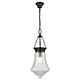 Maya 1 Light Lantern Pendant Clear - 31330