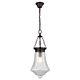 Maya 1 Light Lantern Pendant Clear - 31330