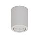 Neo Tilt 10W Dimmable Surface Mounted LED Downlight White / Neutral White - 21130
