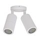 Shadow 240V GU10 Double Adjustable Wall Pillar Light White - 49052