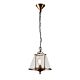 Cotton Tree 1 Light Lantern Pendant Antique Brass - ELPIM30685AB