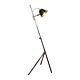 Belvedere 1 Light Floor Lamp Antique Silver - ELPIM51519AS