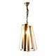 Mona Vale 1 Light Pendant Brass - ELZR62821BRZ