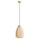 Alobrase Large 1 Light Pendant Brushed Brass - 98647N
