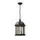 Tower 1 Light Chain Pendant Light - Black