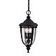 English Bridle Medium Chain Lantern Black - FE/EB8/M BLK