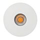Ansell 5W Mini Triac Dimmable LED Downlight White / Warm White - HCP-8130532
