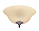 Bowl Ceiling Fan Light Kit Amber - 24125