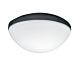 Contemporary Ceiling Fan Light Kit Graphite - 24304
