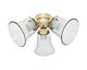 3 Light Ceiling Fan Light Kit Bright Brass - 24312