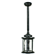 Argyle Outdoor Rod Pendant Antique Black IP03 - 1000052