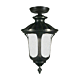 Waterford Medium Under Eave Light Antique Black IP44 - 1000566