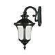 Waterford 1 Light Large Outdoor Wall Mount Light Antique Black - 1000569