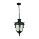 Wellington Large Chain Pendant Antique Black IP44 - 1000574