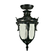 Wellington Medium Under Eave Light Antique Black IP44 - 1000579