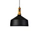 Zara 1 Light Pendant Black - ZARA BK