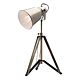 Argo Industrial Look Table Lamp Antique Brass - WT5501AB