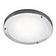 Ancona Maxi 12W LED Oyster Brushed Steel / Warm White - 25246132