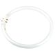 Circular Fluorescent 22W 2GX13 Cool White - A-T5C-22/840